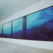 Clamms underwater mural 30 m across.jpg